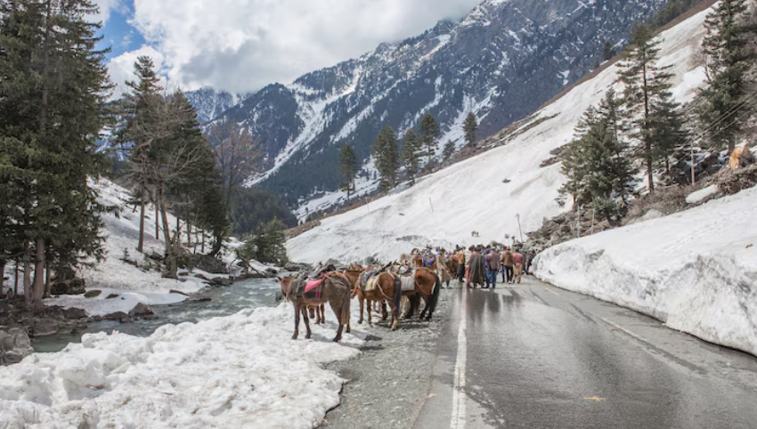 kashmir rental taxi, kashmir rental taxi service