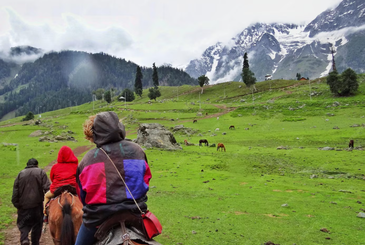 Kashmir Taxi Rental Service