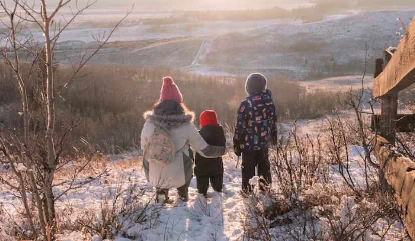 Kashmir Taxi Rental Service